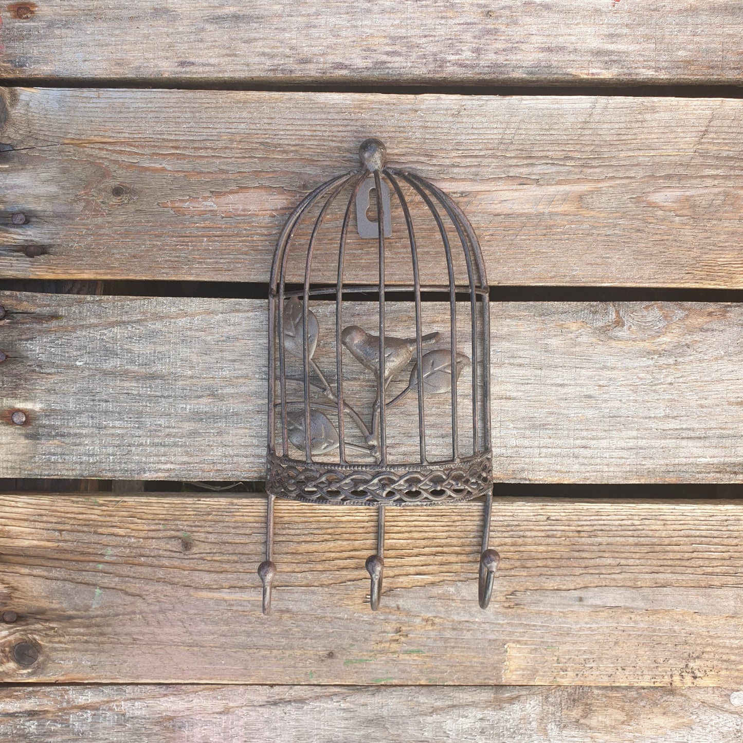 Bird Cage Wall Hook - Triple Hook  Hooks Knobs 