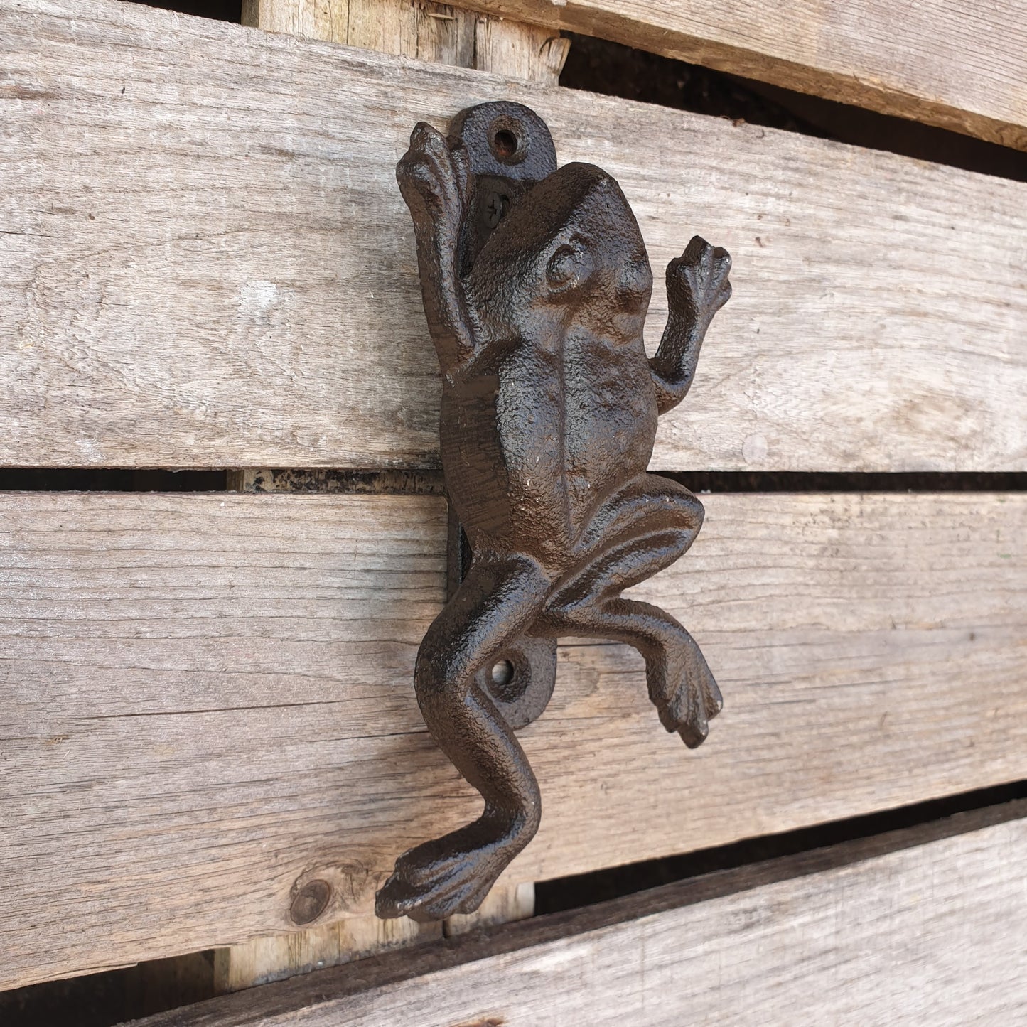 Cast Iron Door Knocker - Frog  Hooks Knobs 