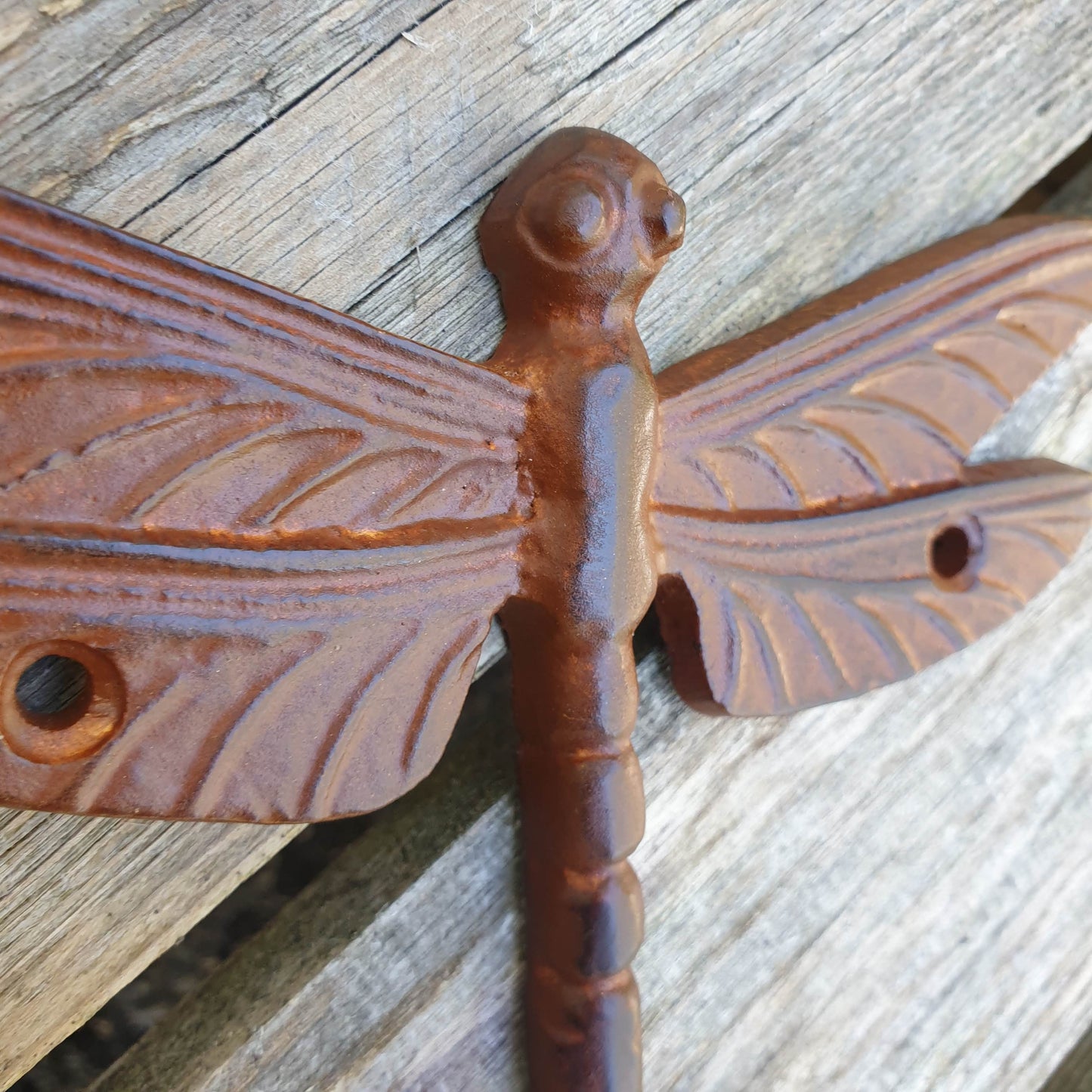 Brown Dragonfly Single Wall Hook | Hooks Knobs