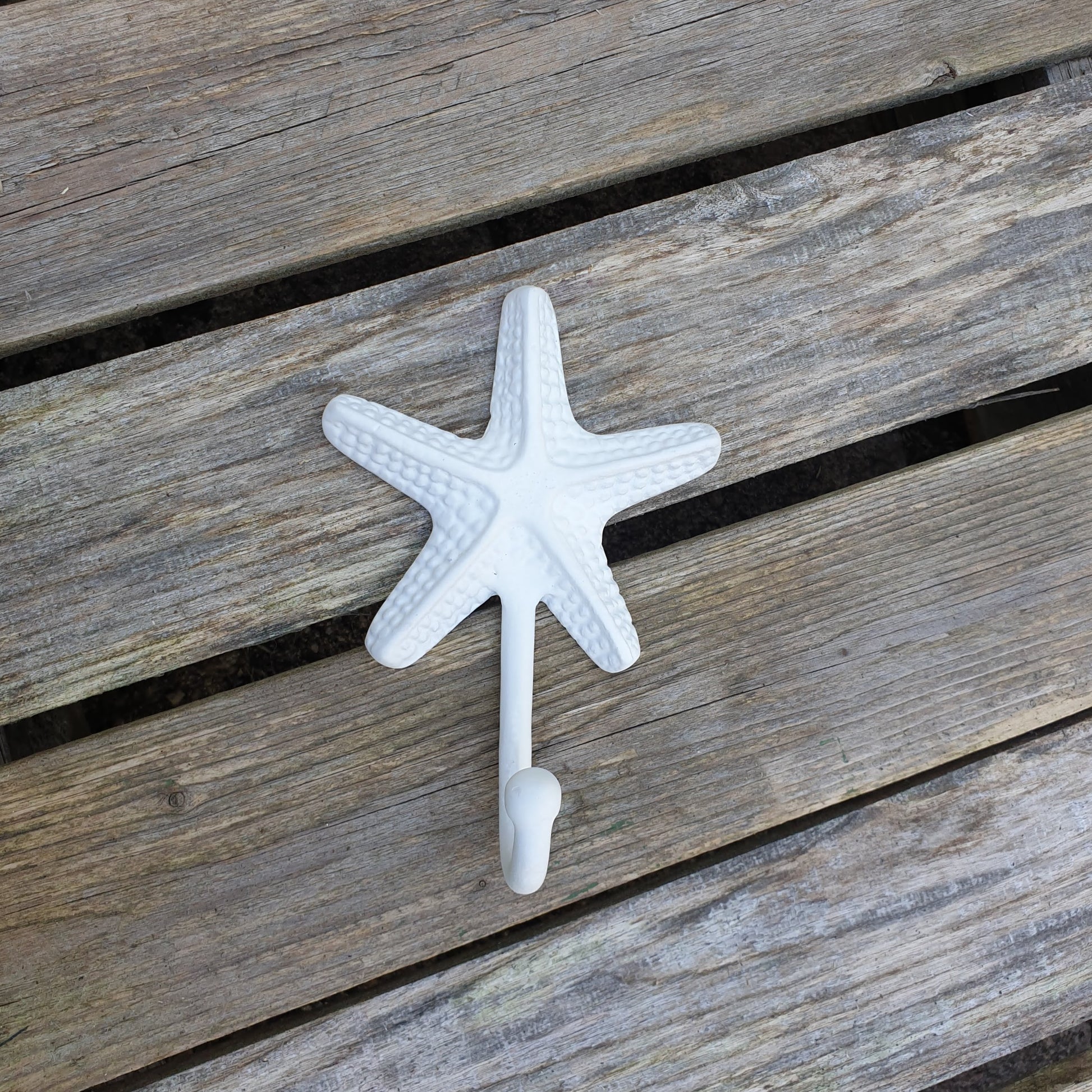 White Starfish Single Hook  Hooks Knobs 