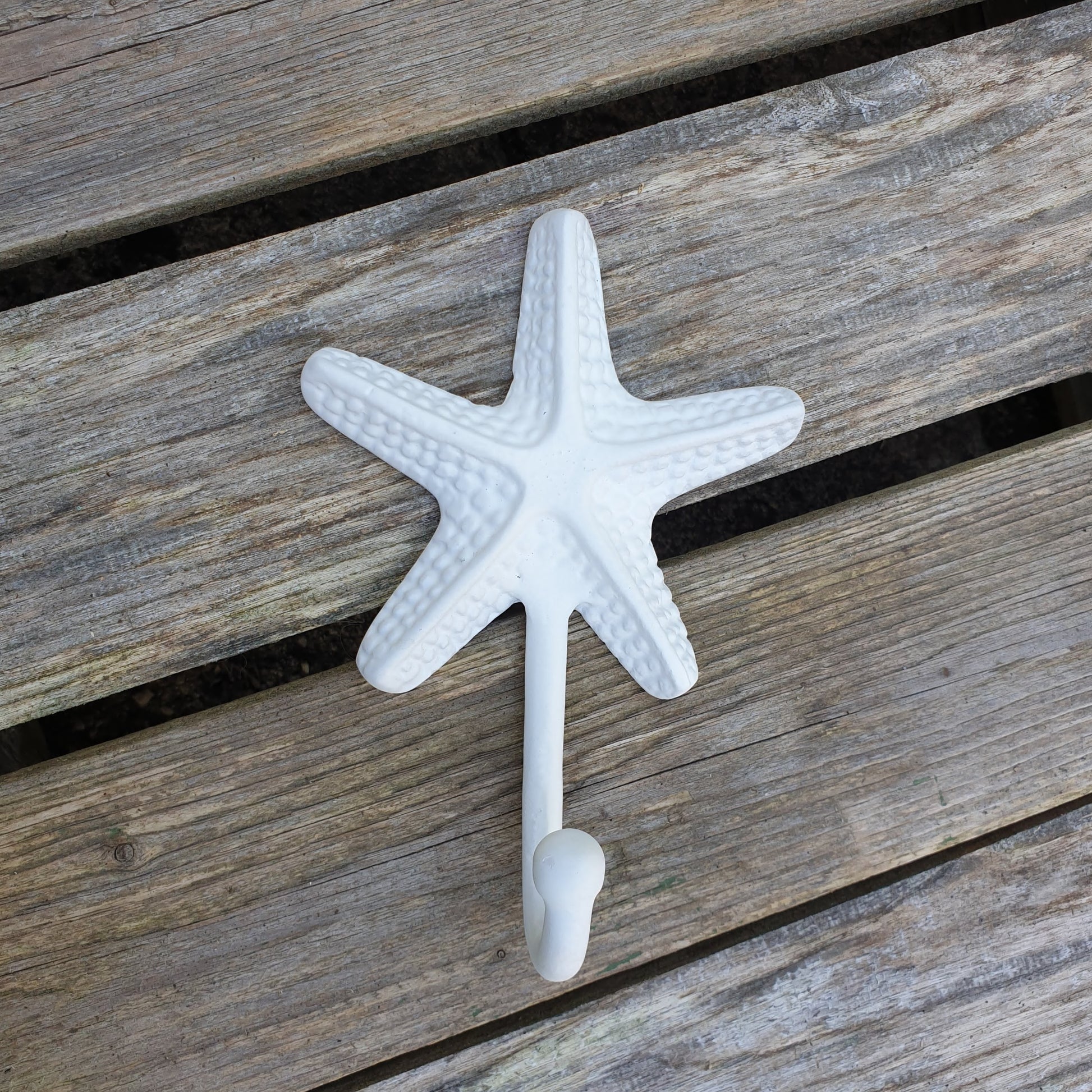 White Starfish Single Hook  Hooks Knobs 