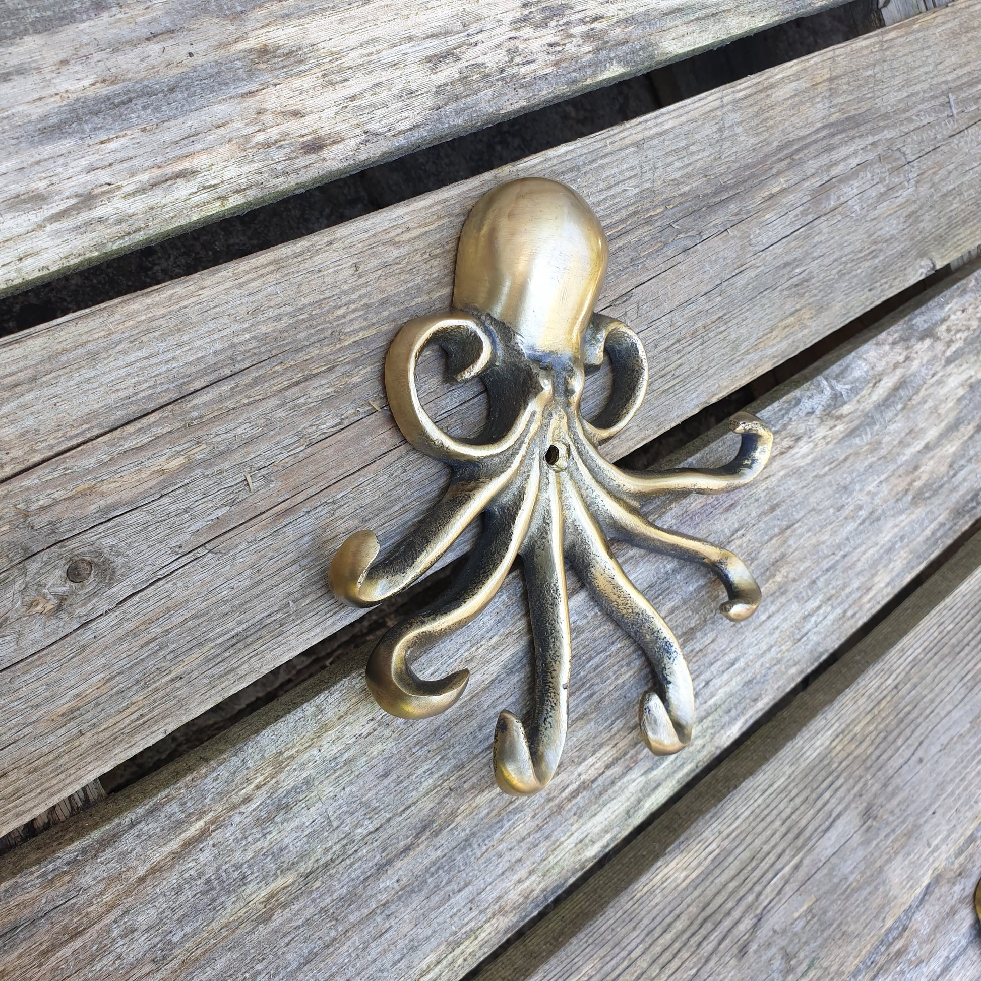 Octopus Wall Hook  Hooks Knobs 