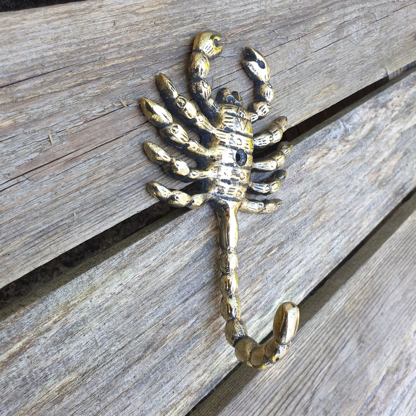 Scorpio Single Hook  Hooks Knobs 