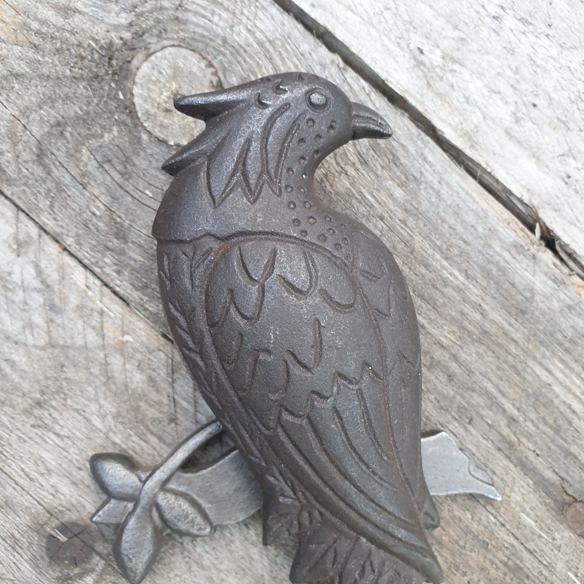 Cast Iron Door Knocker - Parrot Bird of Paradise  Hooks Knobs 