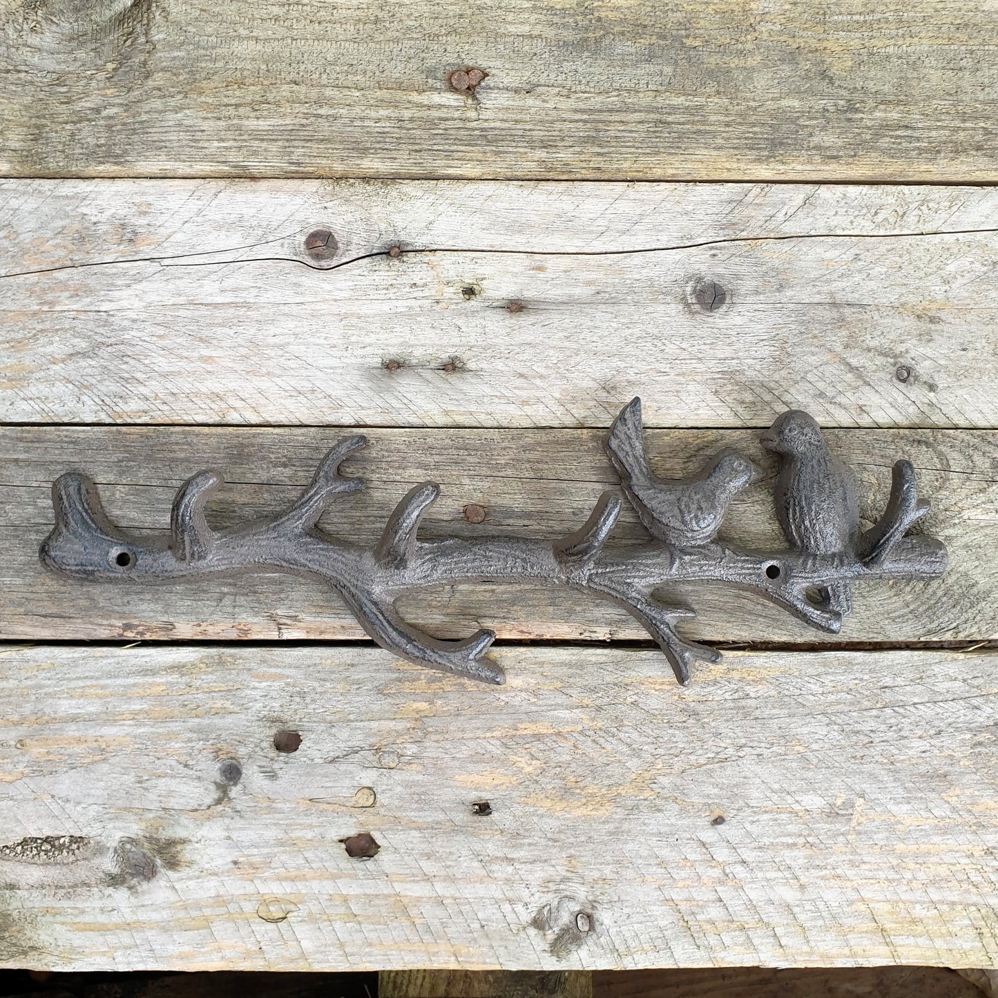 Cast Iron Birds on Branch Wall Hook  Hooks Knobs 